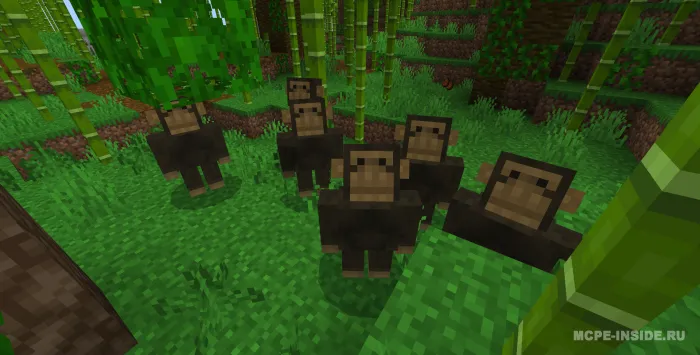 Lamorak moblari — Minecraft mod, rasm 1