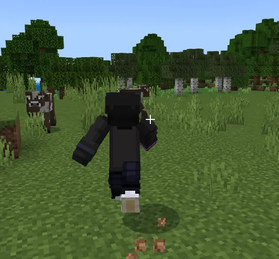 3-shaxs nuqtai nazaridan o'ynash — Minecraft mod, rasm 2