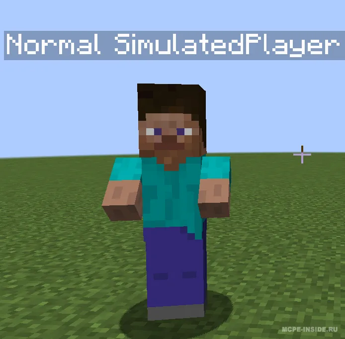 Simulyatsiya qilingan o'yinchilar — Minecraft mod, rasm 1
