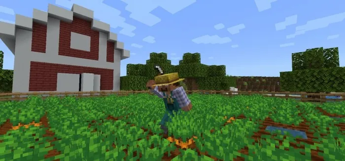 Craig kosmetikasi — Minecraft mod, rasm 1