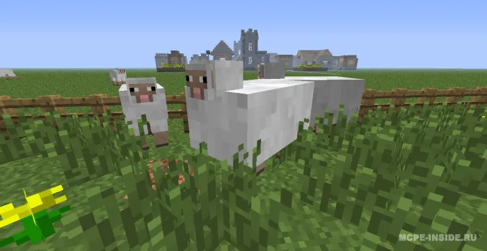 Semiz qo'ylar — Minecraft mod, rasm 1