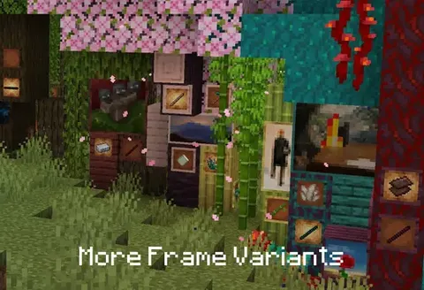 More Frame Variants