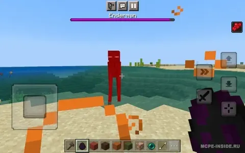 Boss Enderman