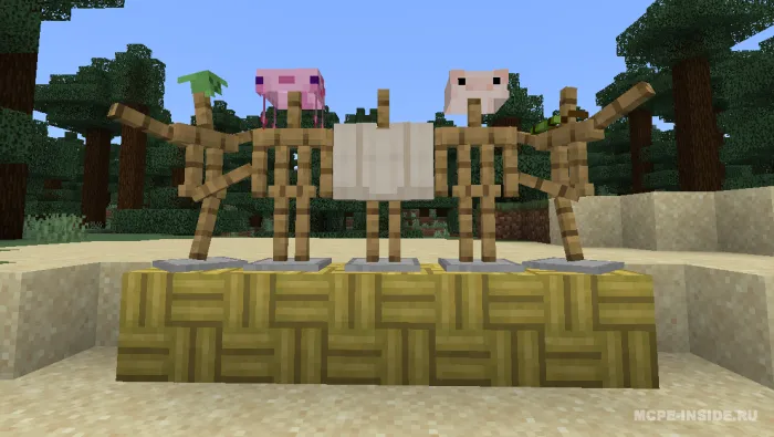 Randomaniya — Minecraft mod, rasm 4