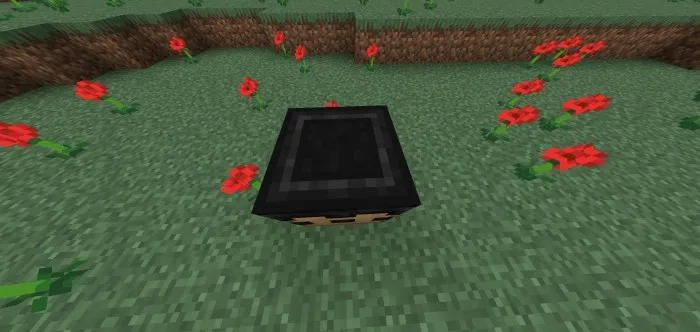 Meta — Minecraft mod, rasm 3