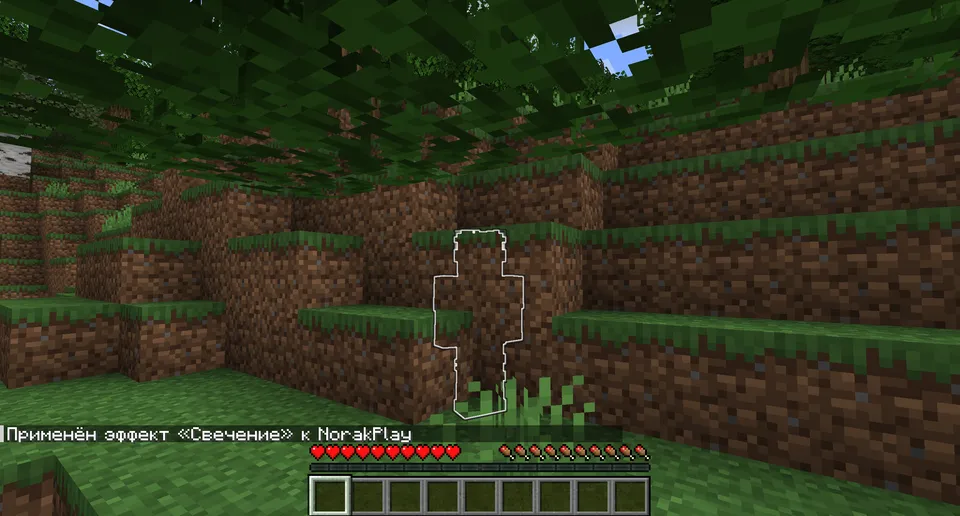 ShadowMod — Minecraft mod, rasm 5