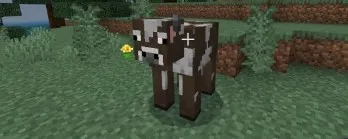 Nisbiy aqldan ozish — Minecraft mod, rasm 4