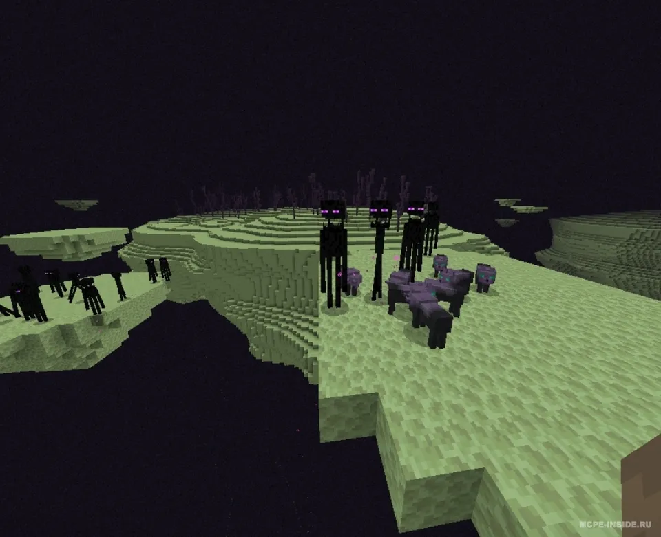 End Wolves! — Minecraft mod, rasm 3