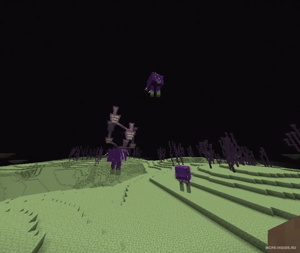 Void Striders! — Minecraft mod, rasm 1