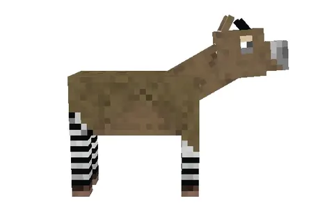 Okapi