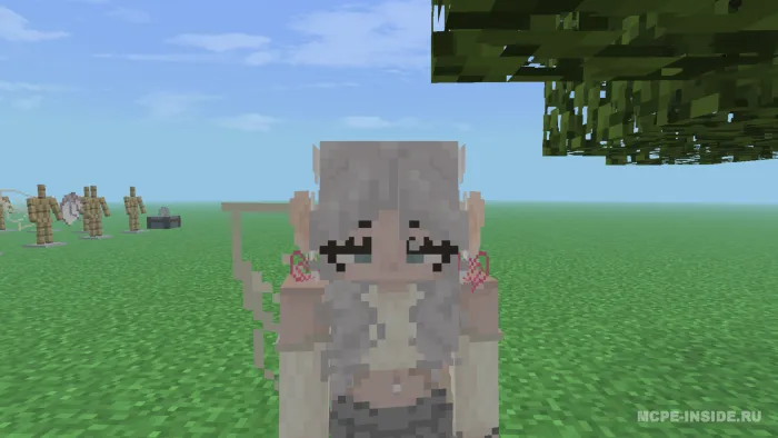 Qanotlar va aksessuarlar — Minecraft mod, rasm 3