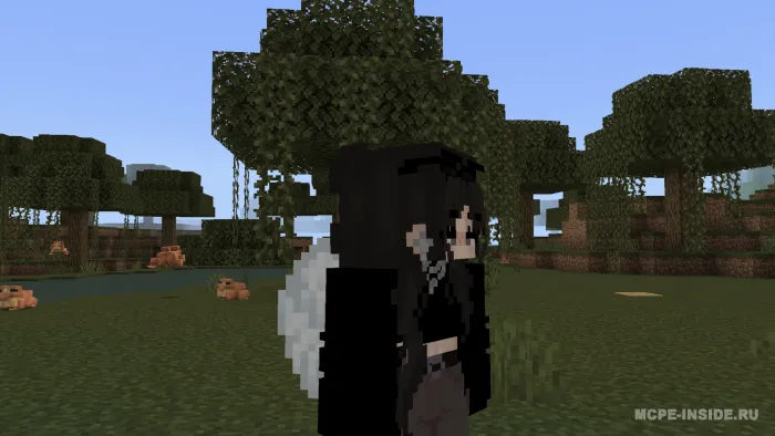 Qanotlar va aksessuarlar — Minecraft mod, rasm 4