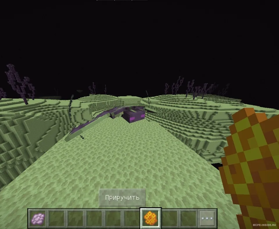 Shulker Phantoms! — Minecraft mod, rasm 3