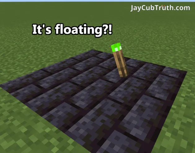 Dunyodagi eng yaxshi qurilishlar — Minecraft mod, rasm 4