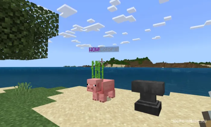 Cho'chqa markeri — Minecraft mod, rasm 3