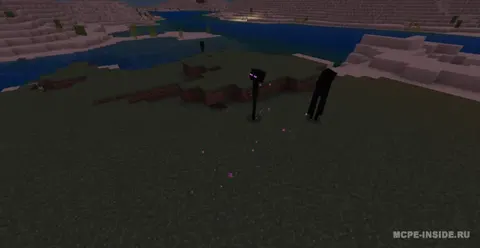 Anti Enderman