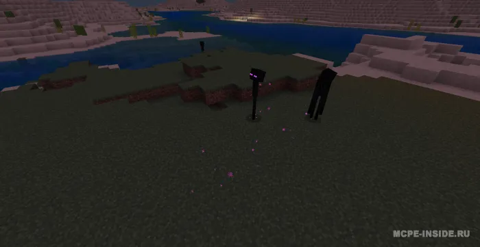 Anti Enderman — Minecraft mod, rasm 1