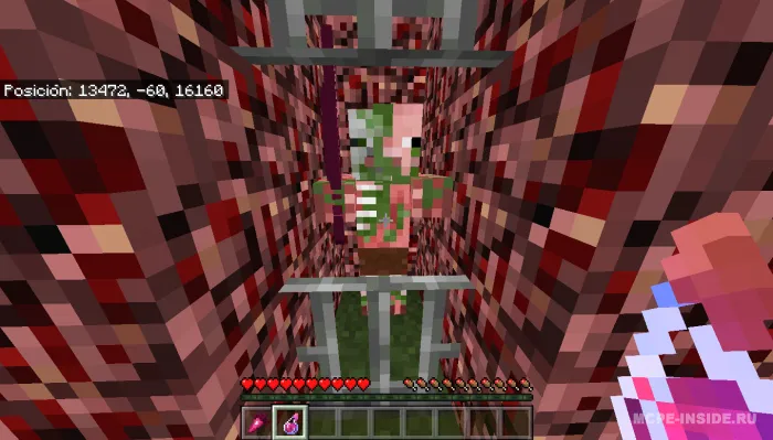 Eski cho'chqa-zombilar — Minecraft mod, rasm 2