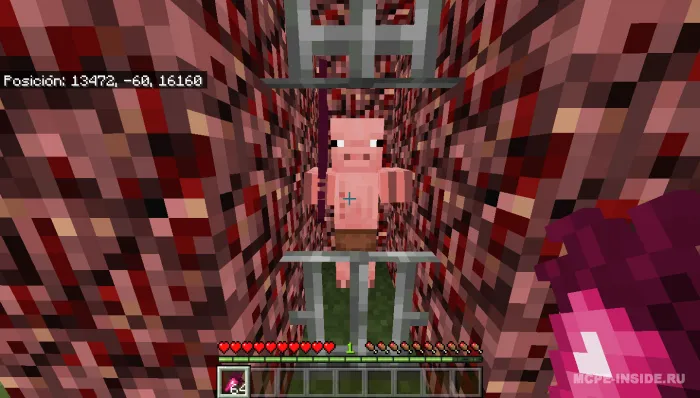 Eski cho'chqa-zombilar — Minecraft mod, rasm 3