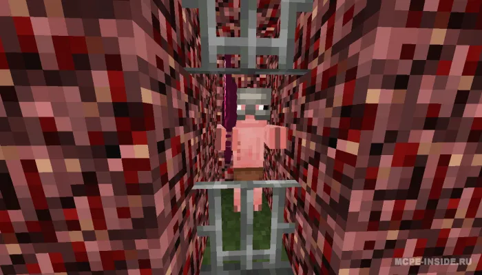 Eski cho'chqa-zombilar — Minecraft mod, rasm 4