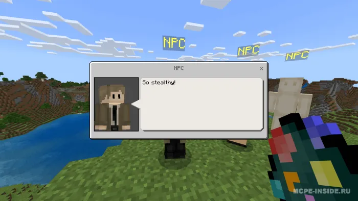 Qo'shimcha NPC — Minecraft mod, rasm 3