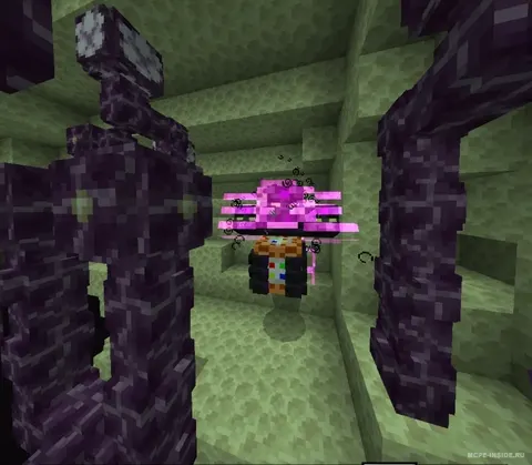 Better Ender Wither