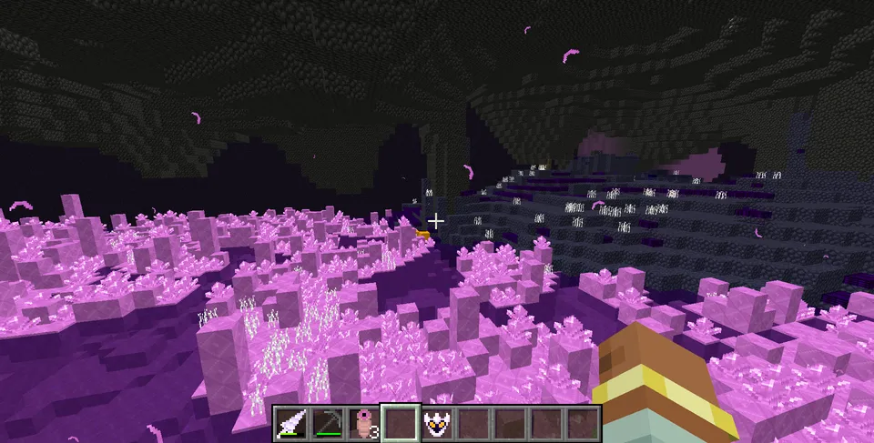 Hollow Knight: Silk & Void — Minecraft mod, rasm 5