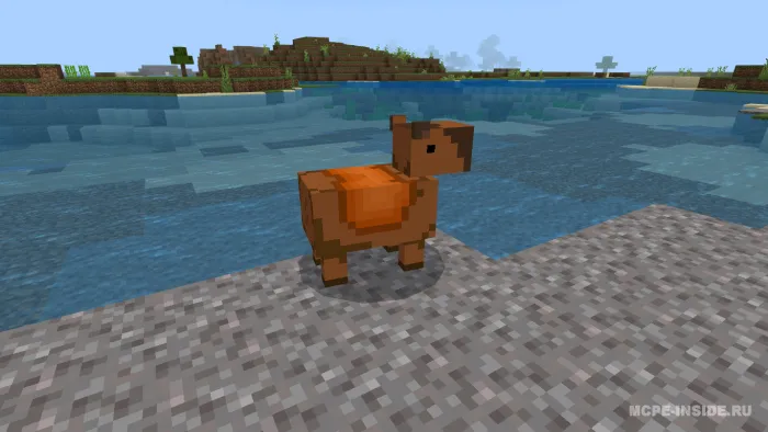 Oddiy kapibaralar — Minecraft mod, rasm 1