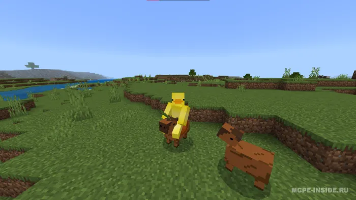 Oddiy kapibaralar — Minecraft mod, rasm 2