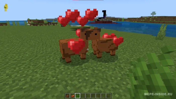 Oddiy kapibaralar — Minecraft mod, rasm 3