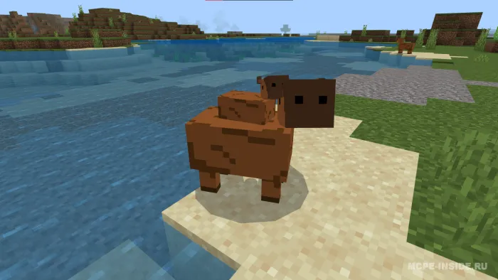 Oddiy kapibaralar — Minecraft mod, rasm 4