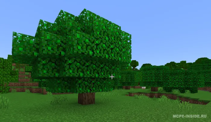Meksikancha taomlar! — Minecraft mod, rasm 3