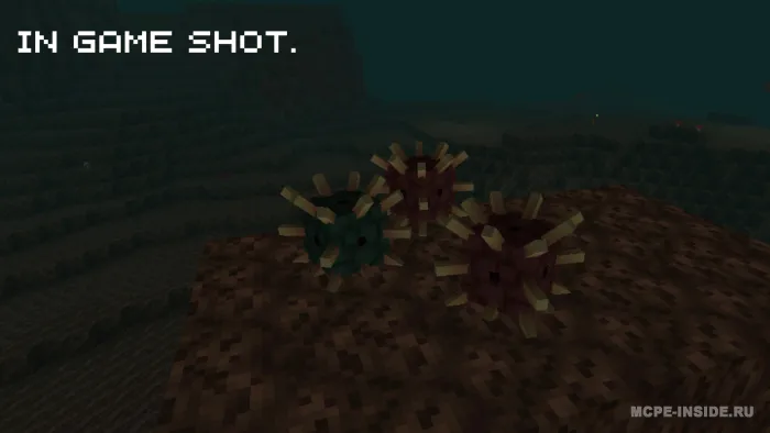 Nether kengaytmasi — Minecraft mod, rasm 2