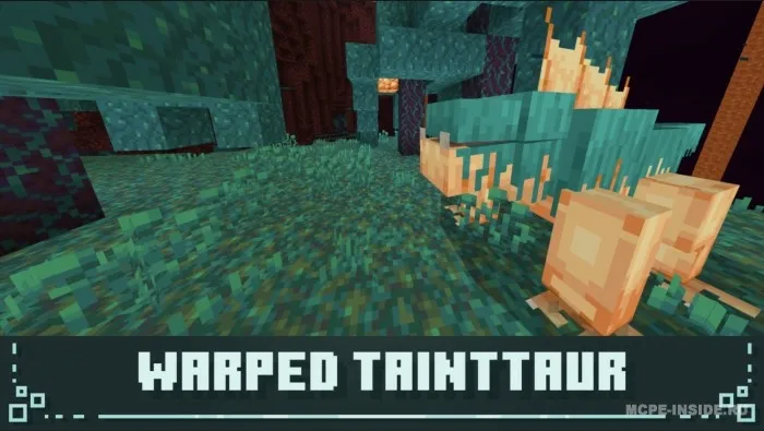 Tangachalar va patlar — Minecraft mod, rasm 2