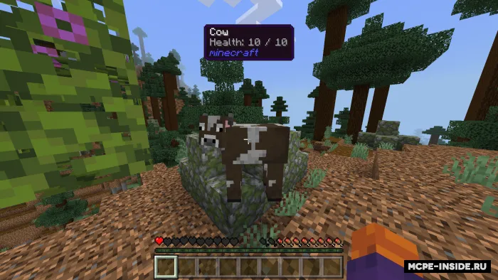 Qalqib chiquvchi maslahatlar — Minecraft mod, rasm 4