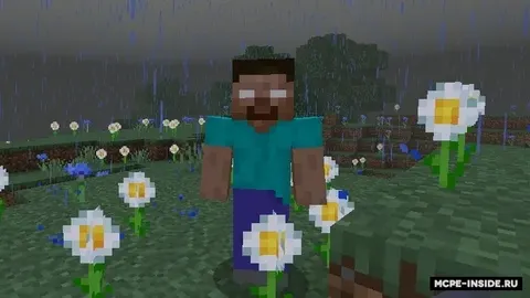 Herobrine la'nati