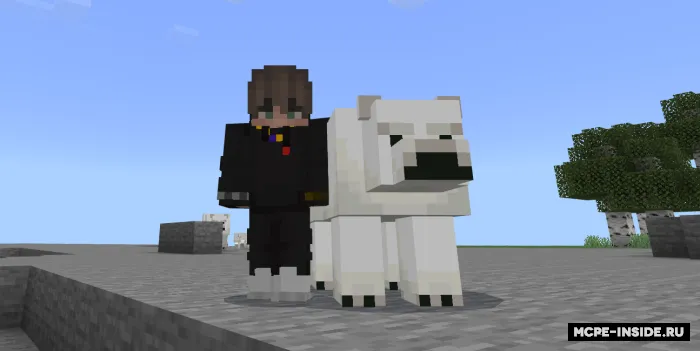 Qutb ayiqlari plus — Minecraft mod, rasm 1