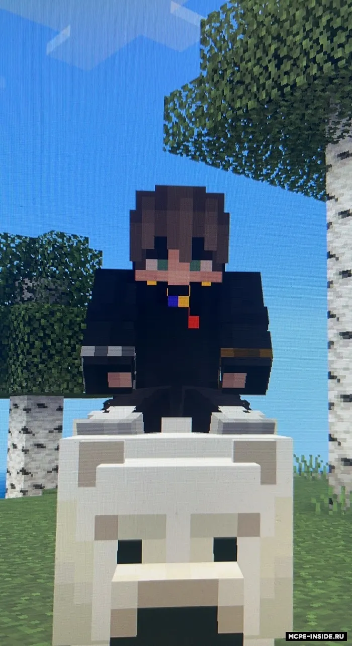 Qutb ayiqlari plus — Minecraft mod, rasm 2