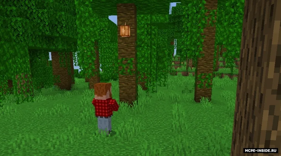 KFC Food — Minecraft mod, rasm 3