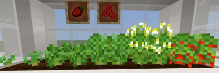 Vanil ekinlari — Minecraft mod, rasm 4