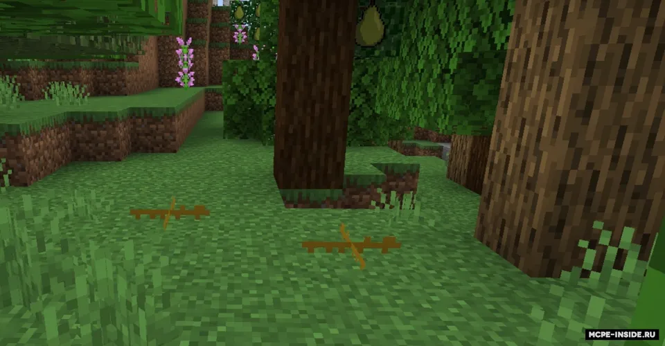 FOOD+ — Minecraft mod, rasm 1