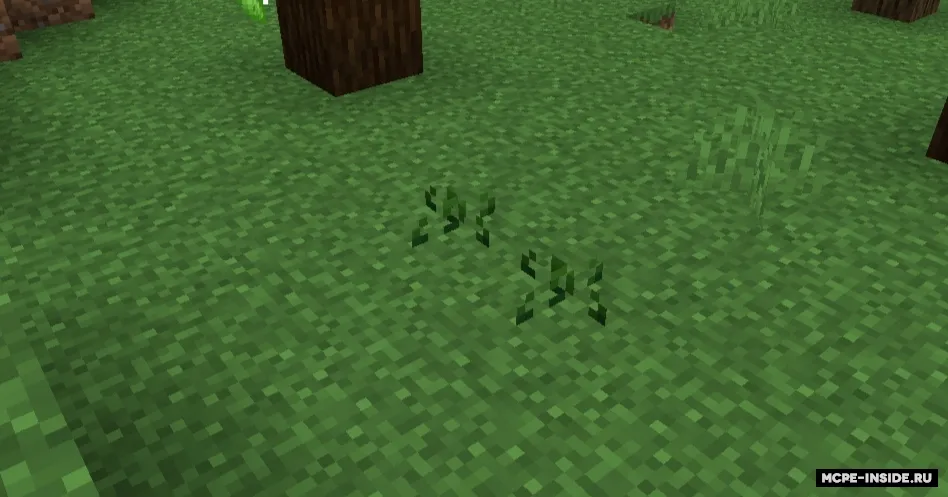 FOOD+ — Minecraft mod, rasm 3