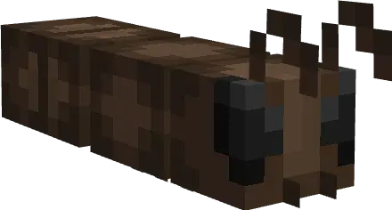 Chumolilar plyus