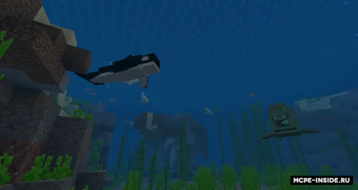 Vanilla plyus — Minecraft mod, rasm 2