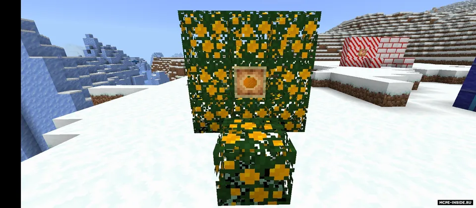 SvipShip Xmas — Minecraft mod, rasm 4