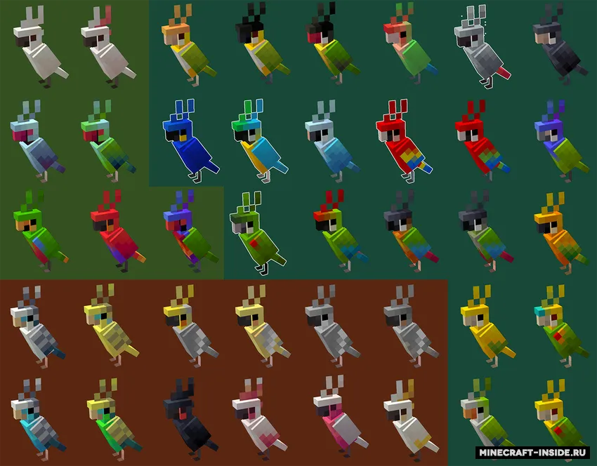 Psittacine — Minecraft mod, rasm 2
