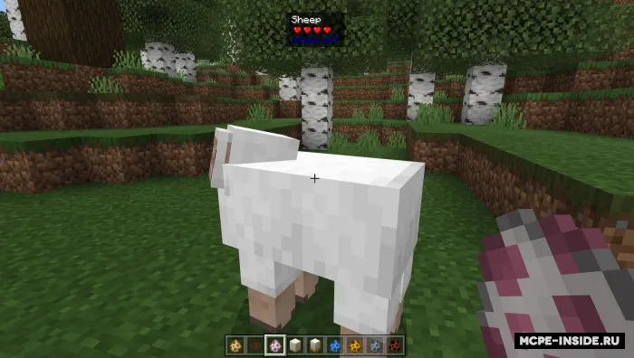Bu nima? — Minecraft mod, rasm 2