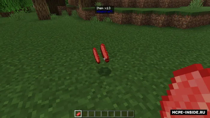 Bu nima? — Minecraft mod, rasm 3