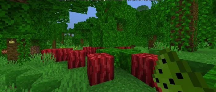 Matervelon — Minecraft mod, rasm 2