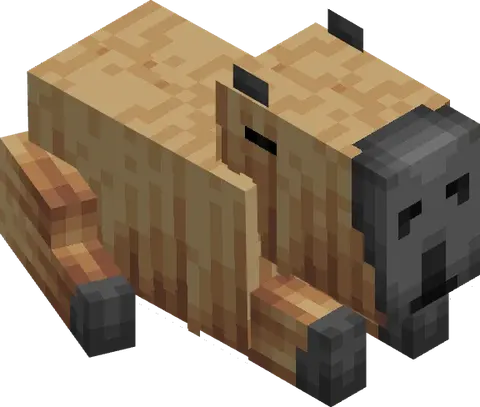 CapiCraft